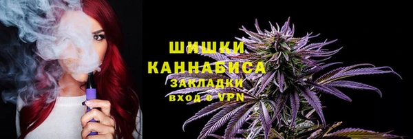 дмт Вяземский