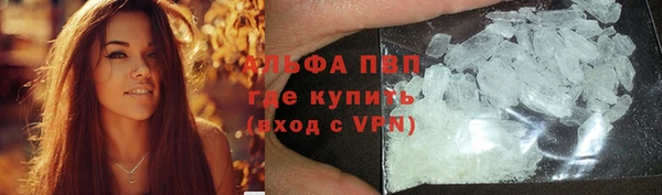 дмт Вяземский