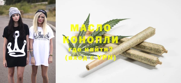 дмт Вяземский
