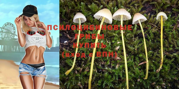 таблы Вязьма