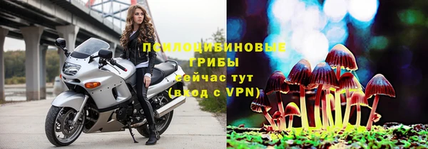 ПСИЛОЦИБИНОВЫЕ ГРИБЫ Аша