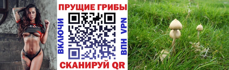 Галлюциногенные грибы Psilocybine cubensis  Демидов 